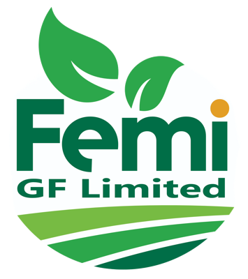 Femi GF Limited